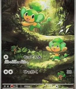 Feuillajou 089 SV11B