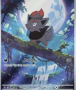Zorua 140 SV11W