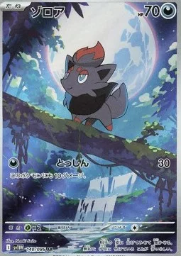 Zorua 140 SV11W – Display Pokémon coréen – Pokeseoul Zorua 140 SV11W